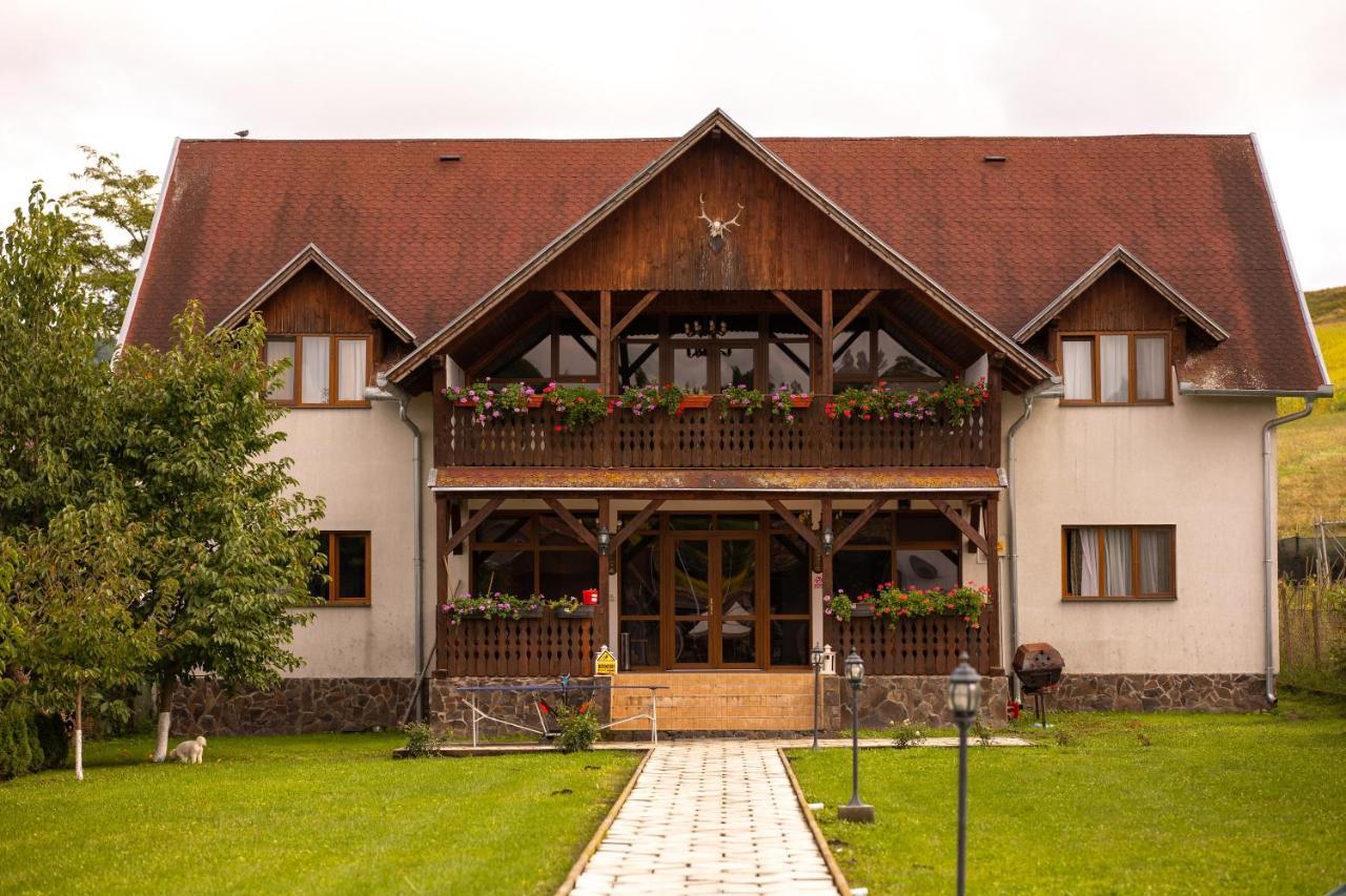 Pensiunea Sachsenhof Bagaciu Zewnętrze zdjęcie